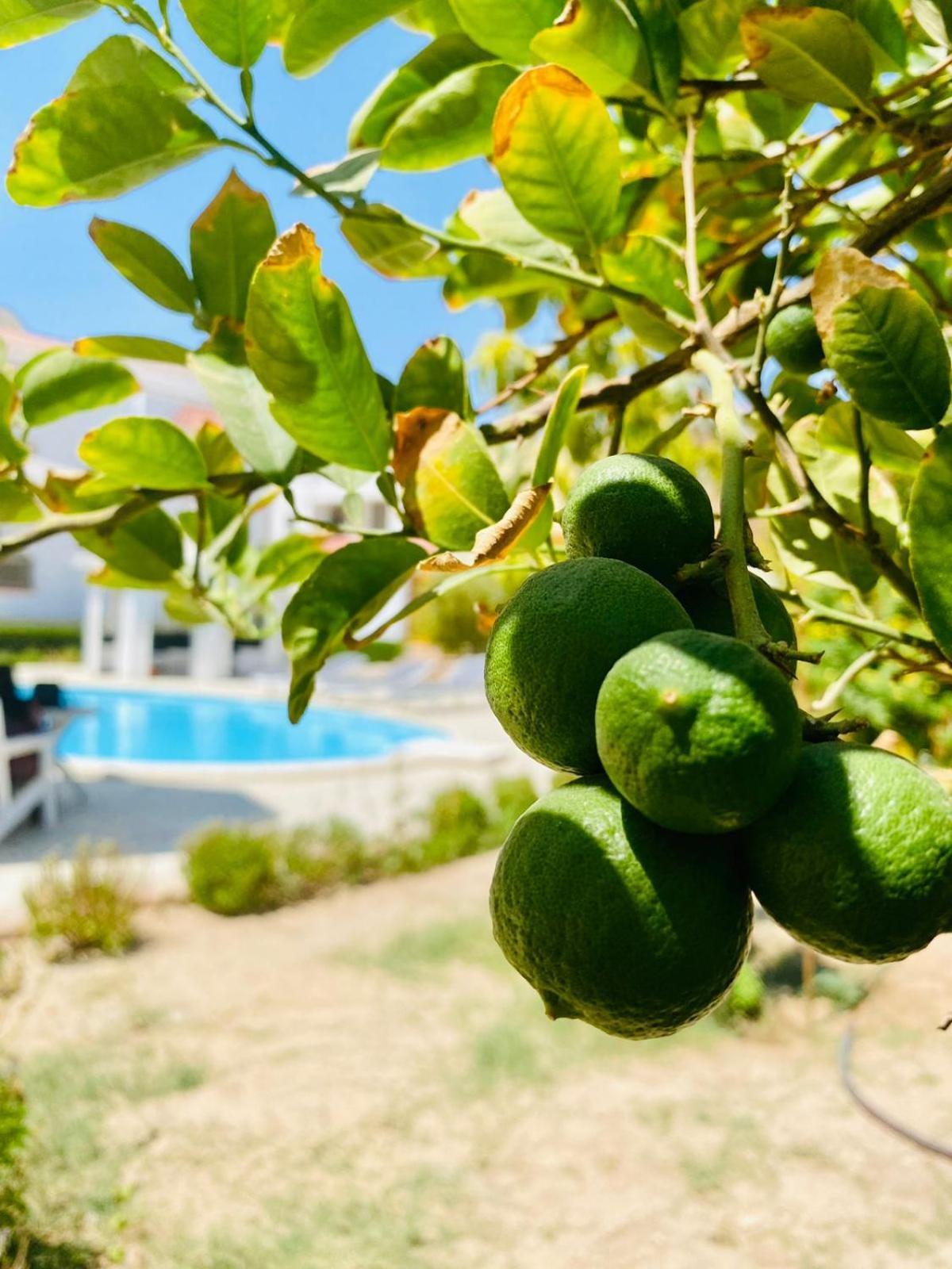 Hurghada-Magawish Villa 1 Eksteriør bilde